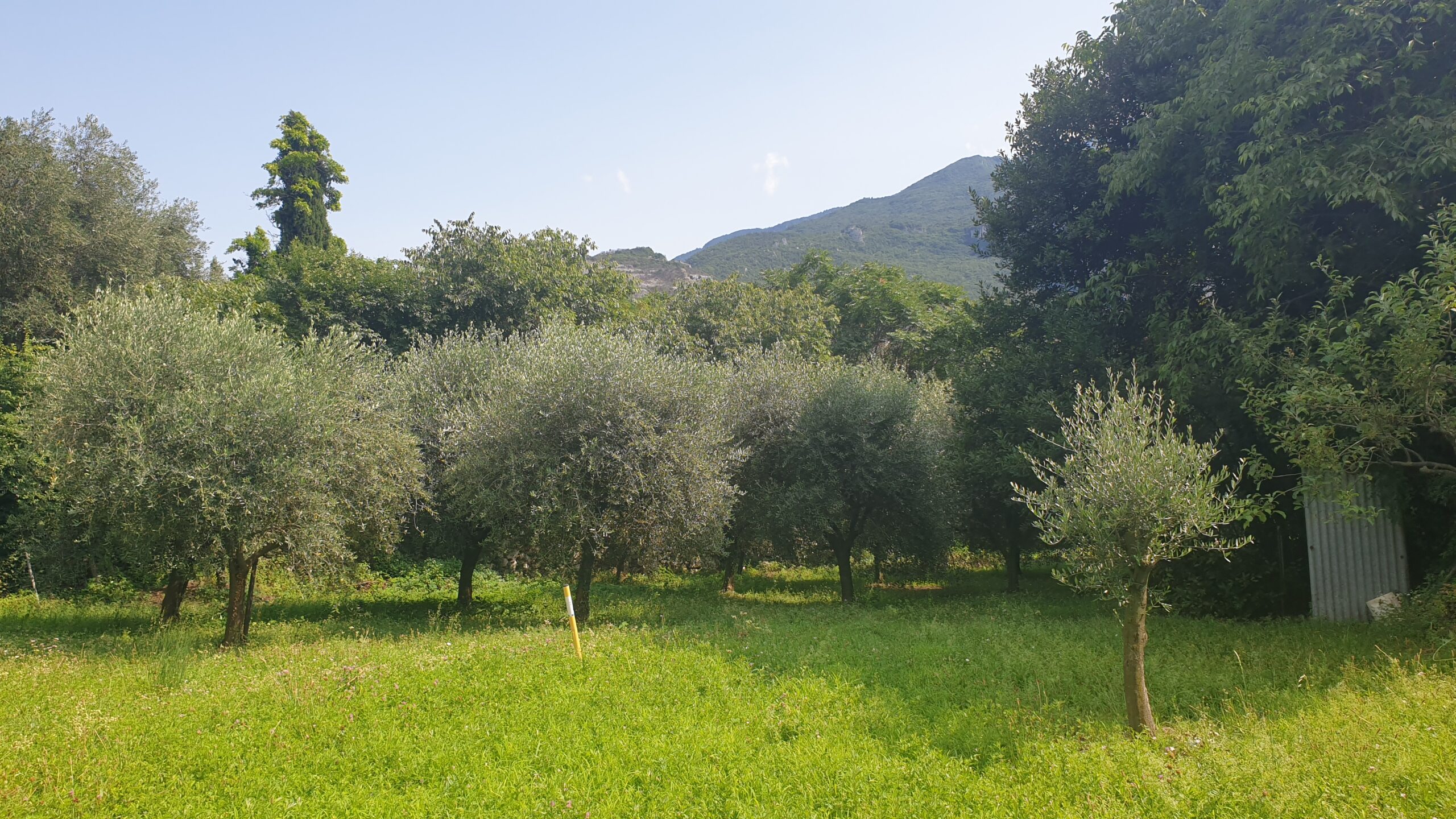 WhatsApp Image 2025-10-16 at 15.35.28 (2)