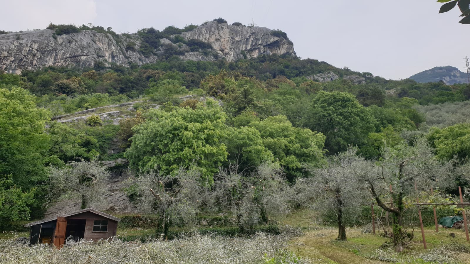 WhatsApp Image 2025-10-16 at 16.08.15 (1)